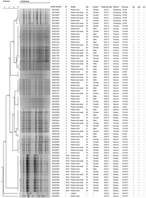 Antimicrobial resistance and genomic analysis of Vibrio parahaemolyticus isolates from foodborne outbreaks, Huzhou, China, 2019–2023